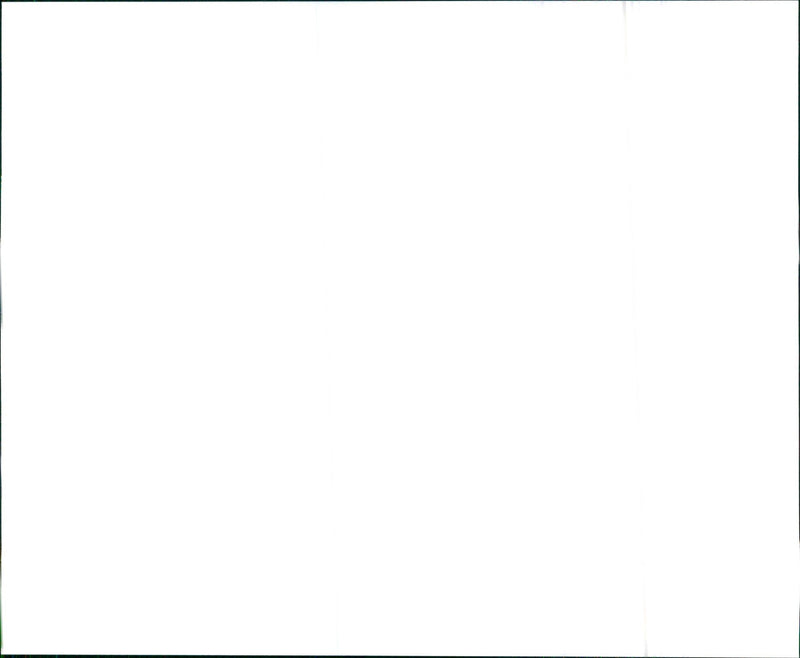 1997 Audi A8 - Vintage Photograph