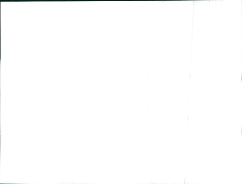 1999 Jaguar Sovereign long wheelbase - Vintage Photograph