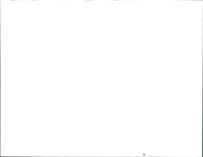 1990 Chevrolet Lumina Sedan - Vintage Photograph