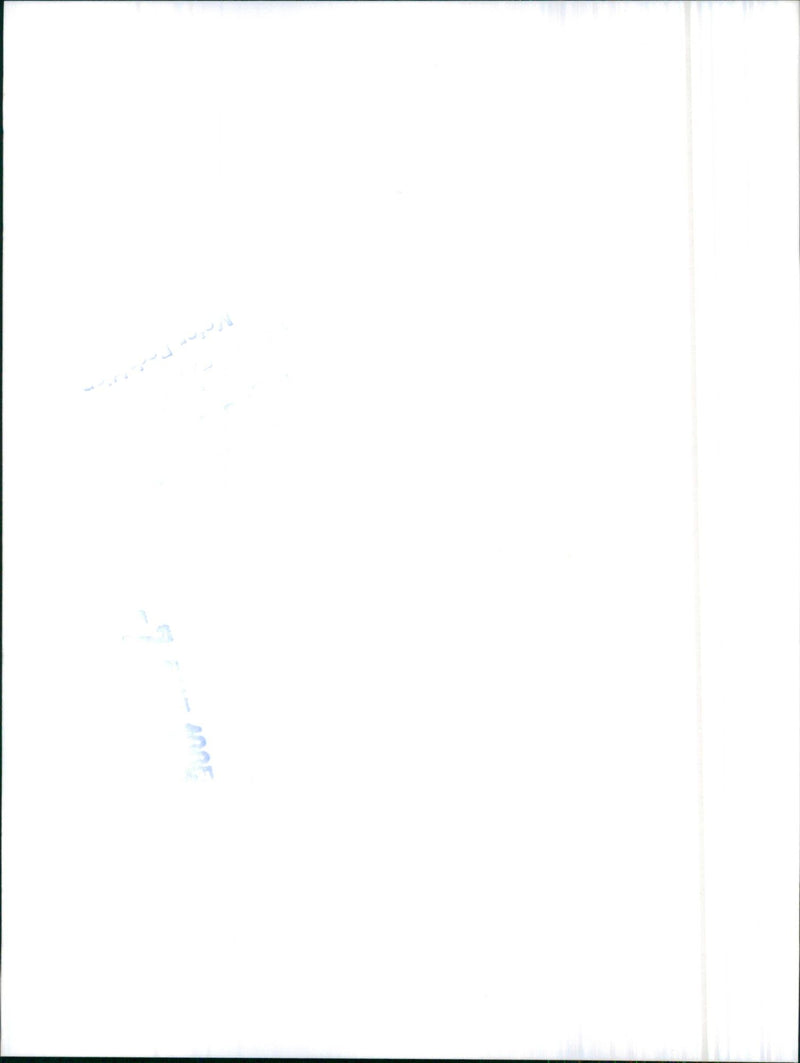 1985 Jaguar XJS Cabrio - Vintage Photograph