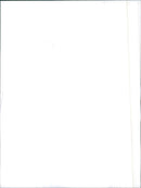 Fiat Uno - Vintage Photograph