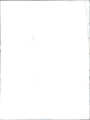 Fiat Uno - Vintage Photograph