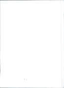 Fiat Uno Super - Vintage Photograph