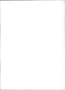 Fiat Uno - Vintage Photograph