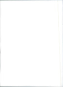 Fiat Uno - Vintage Photograph