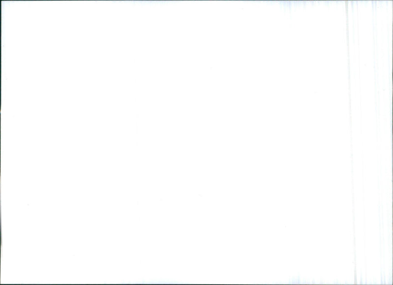 1998 Citroën Xsara - Vintage Photograph