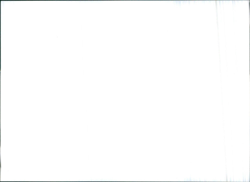 1998 Citroën Xsara - Vintage Photograph