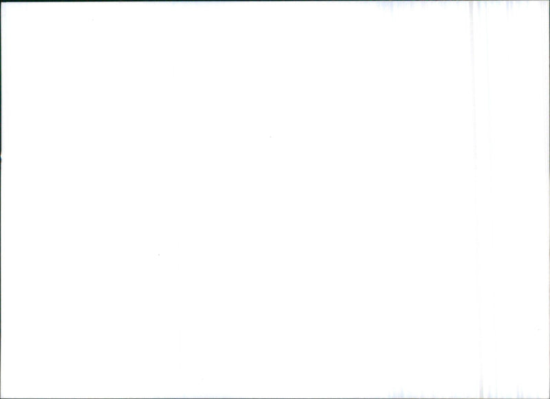 1998 Citroën Xsara - Vintage Photograph