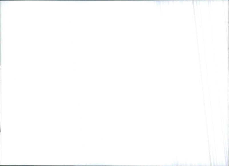 1998 Citroën Xsara - Vintage Photograph