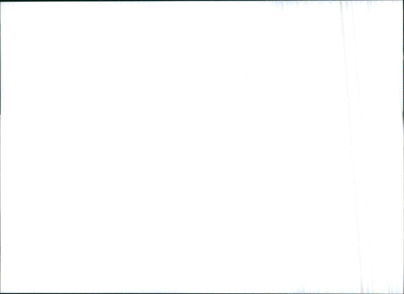 1998 Citroën Xsara - Vintage Photograph