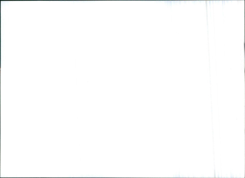 1998 Citroën Xsara - Vintage Photograph