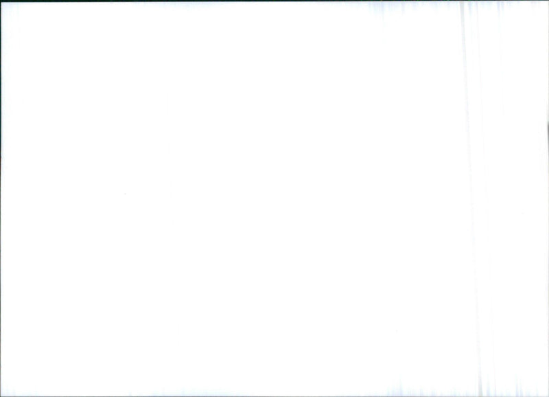 1998 Citroën Xsara - Vintage Photograph