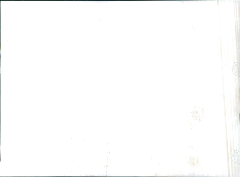 Zipped luggages in the car - Vintage Photograph