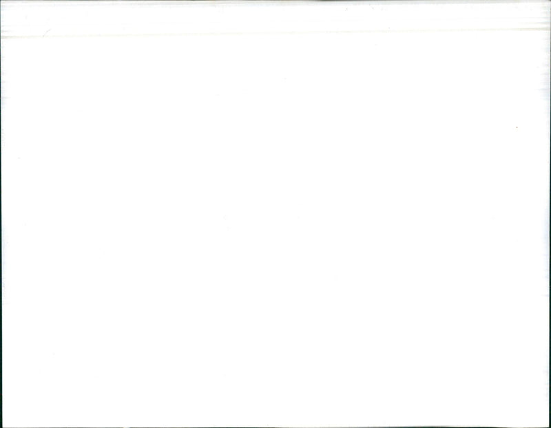 Car Seatbelt - Vintage Photograph