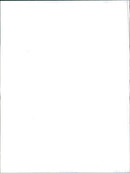 Rover SD1 - Vintage Photograph