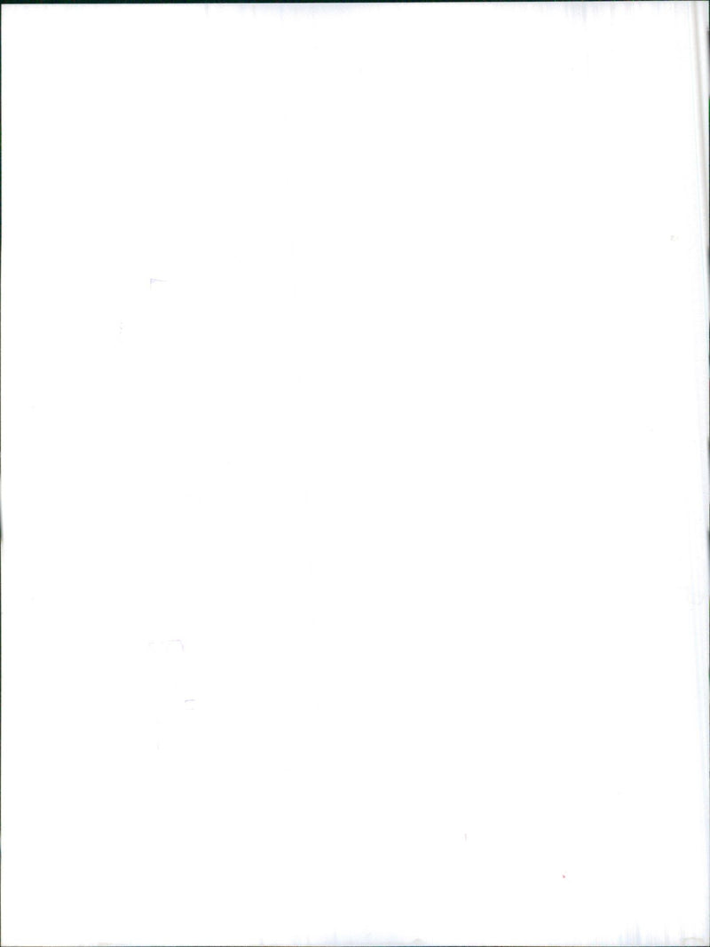 Rover SD1 - Vintage Photograph