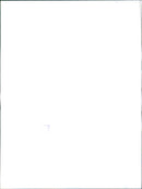 TRIUMPH VITESSE (Rover) - Vintage Photograph