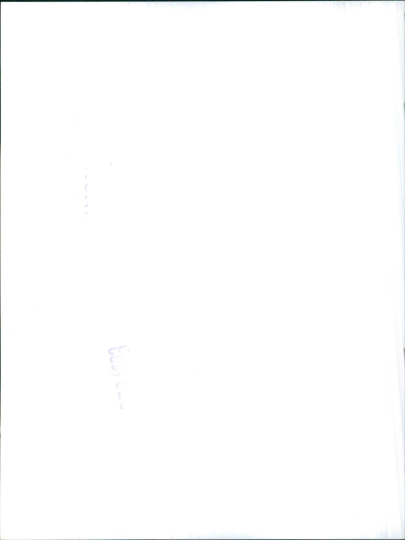 Rover VITESSE - Vintage Photograph