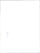 Rover VITESSE - Vintage Photograph