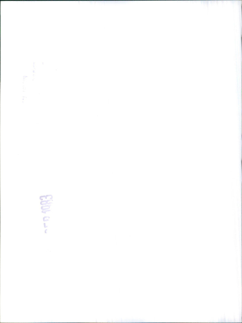 Rover VITESSE - Vintage Photograph