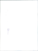 Rover VITESSE - Vintage Photograph