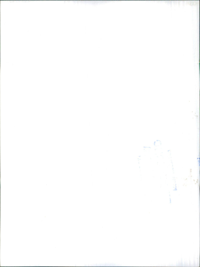 Maestro Efi - Vintage Photograph