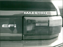 Maestro Efi - Vintage Photograph