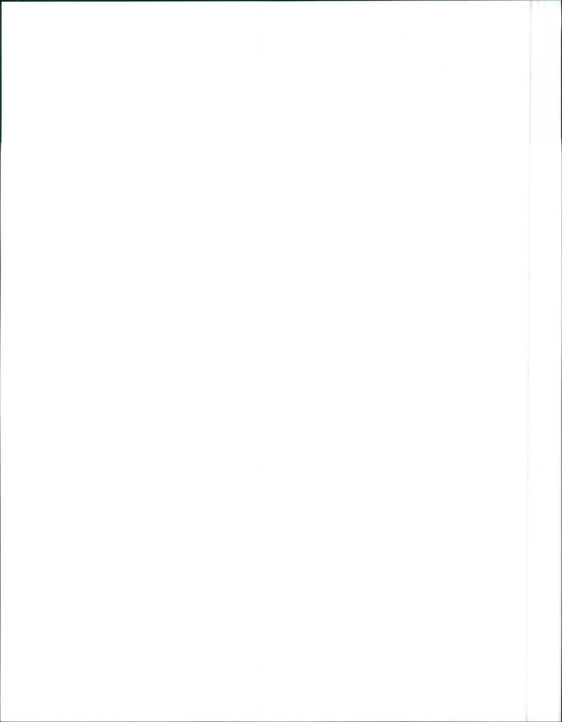 1994 Swift Sedan - Vintage Photograph