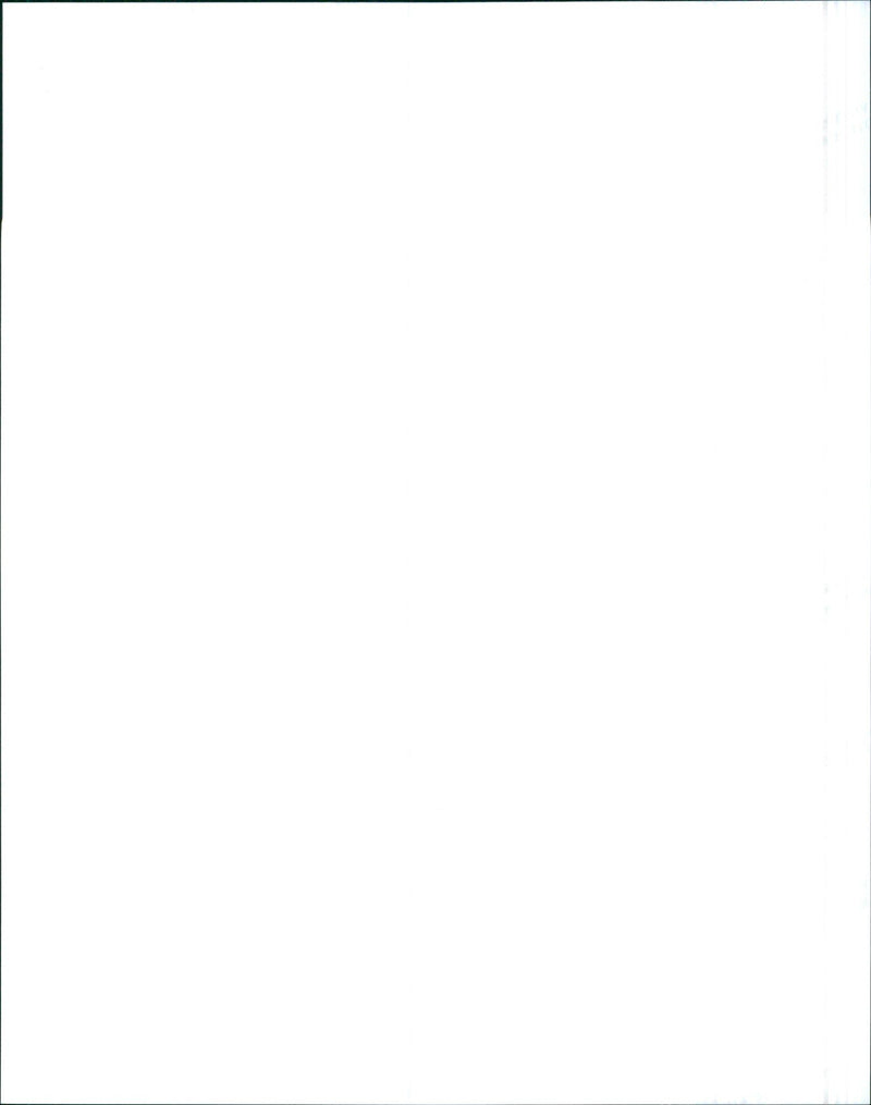 Suzuki Sidekick - Vintage Photograph