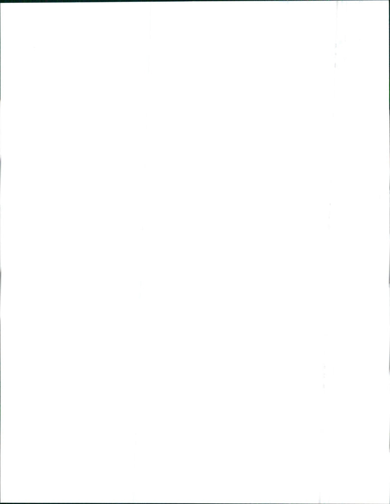 BMW Z3 - Vintage Photograph