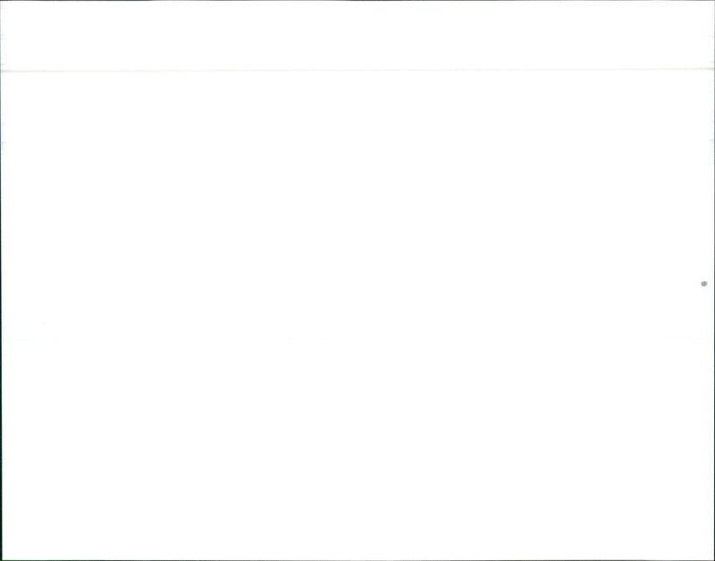 1992 Toyota Camry XLE Sedan - Vintage Photograph