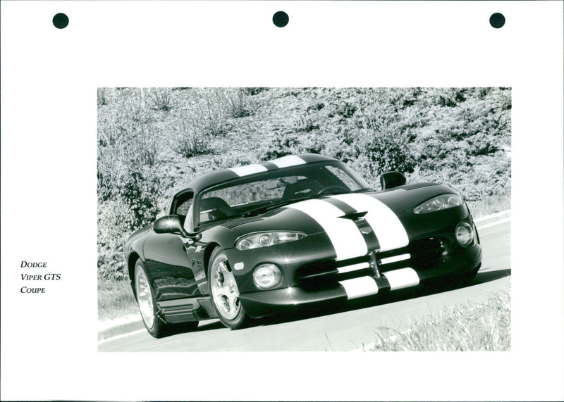 1994 Chrysler Dodge Viper - Vintage Photograph