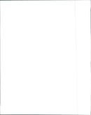 1994 Volkswagen Passat - Vintage Photograph