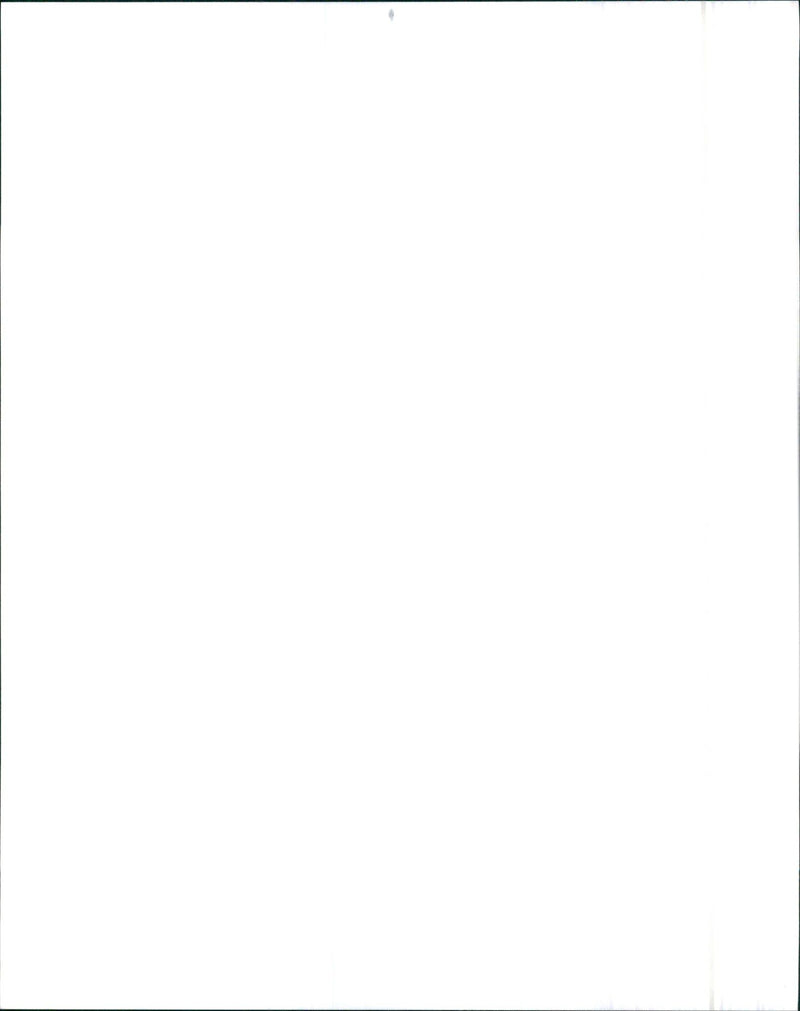 1993 Infiniti G20 - Vintage Photograph