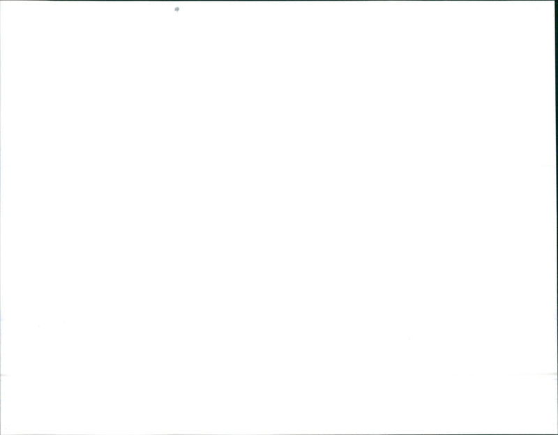 1991 Hyundai HCD-1 - Vintage Photograph