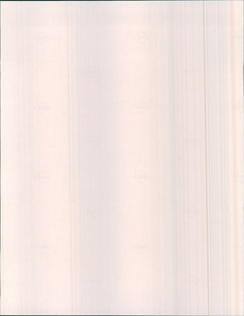 Backpacker Tracker and Beach Low Rider Tracker - Vintage Photograph