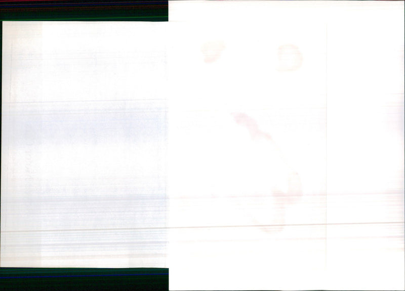 1992 Rolls Royce Limousine and Convertible - Vintage Photograph