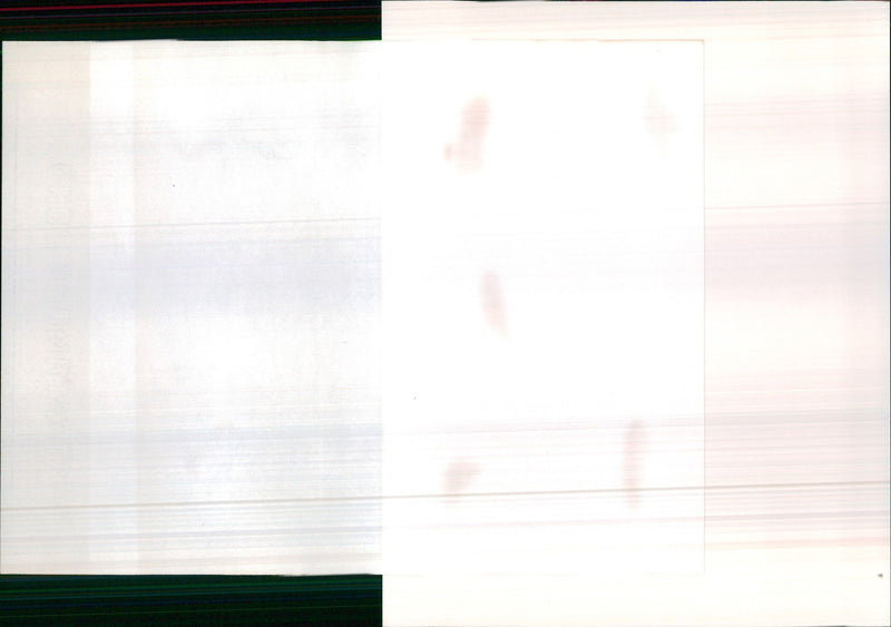 1992 Rolls Royce Limousine and Convertible - Vintage Photograph