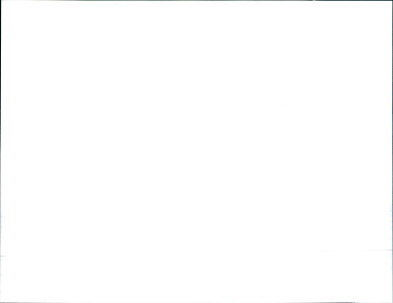 1992 Pontiac Salsa - Vintage Photograph