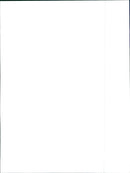 1992 Pontiac Salsa - Vintage Photograph