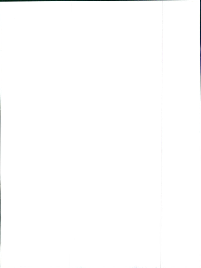 1992 Pontiac Salsa - Vintage Photograph