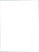 1992 Pontiac Salsa - Vintage Photograph