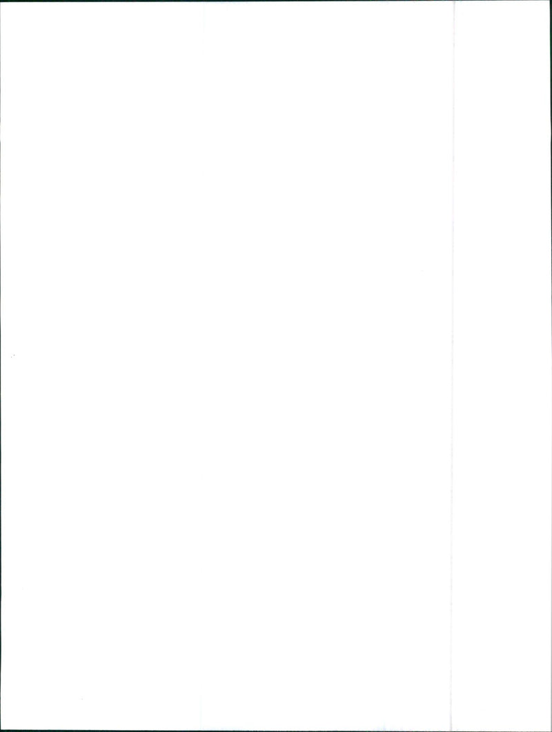 1992 Pontiac Salsa - Vintage Photograph