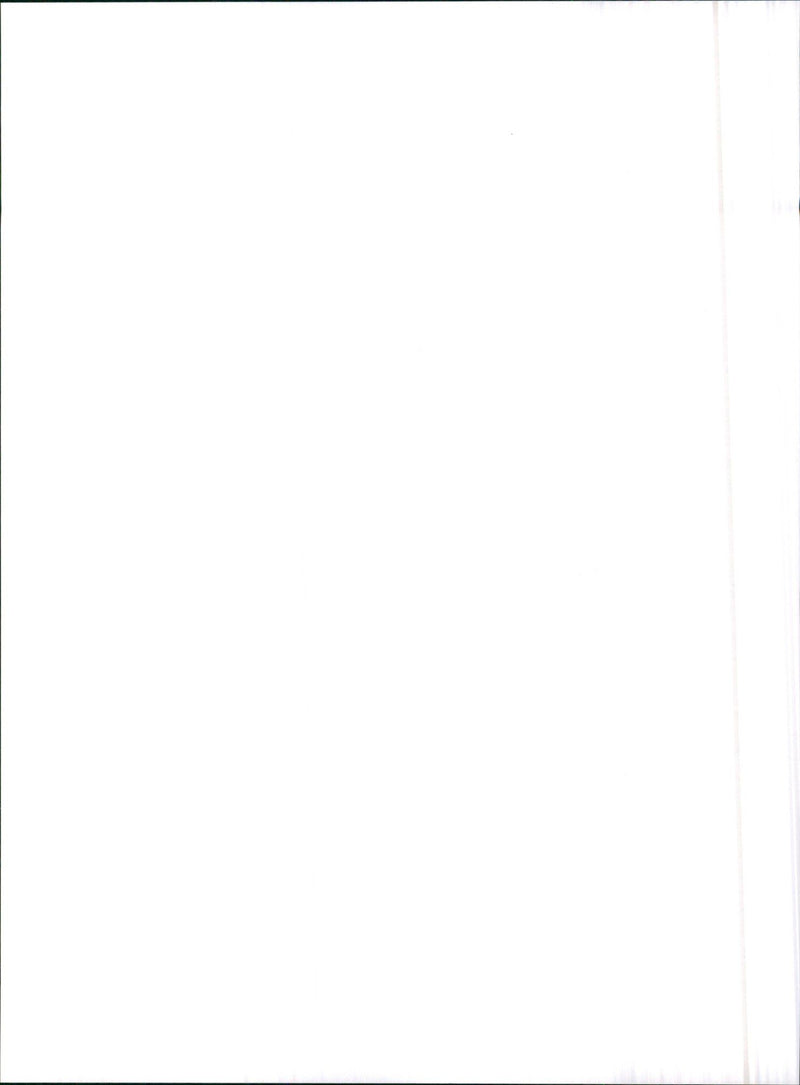 1990 Audi 100 - Vintage Photograph