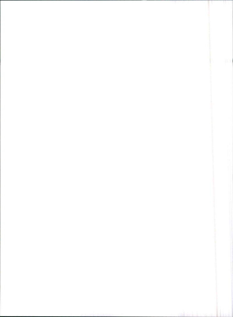 1990 Audi 100 - Vintage Photograph