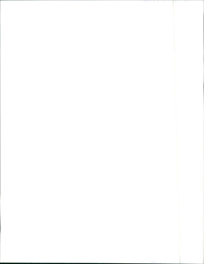 1992 Buick Roadmaster Limited - Vintage Photograph