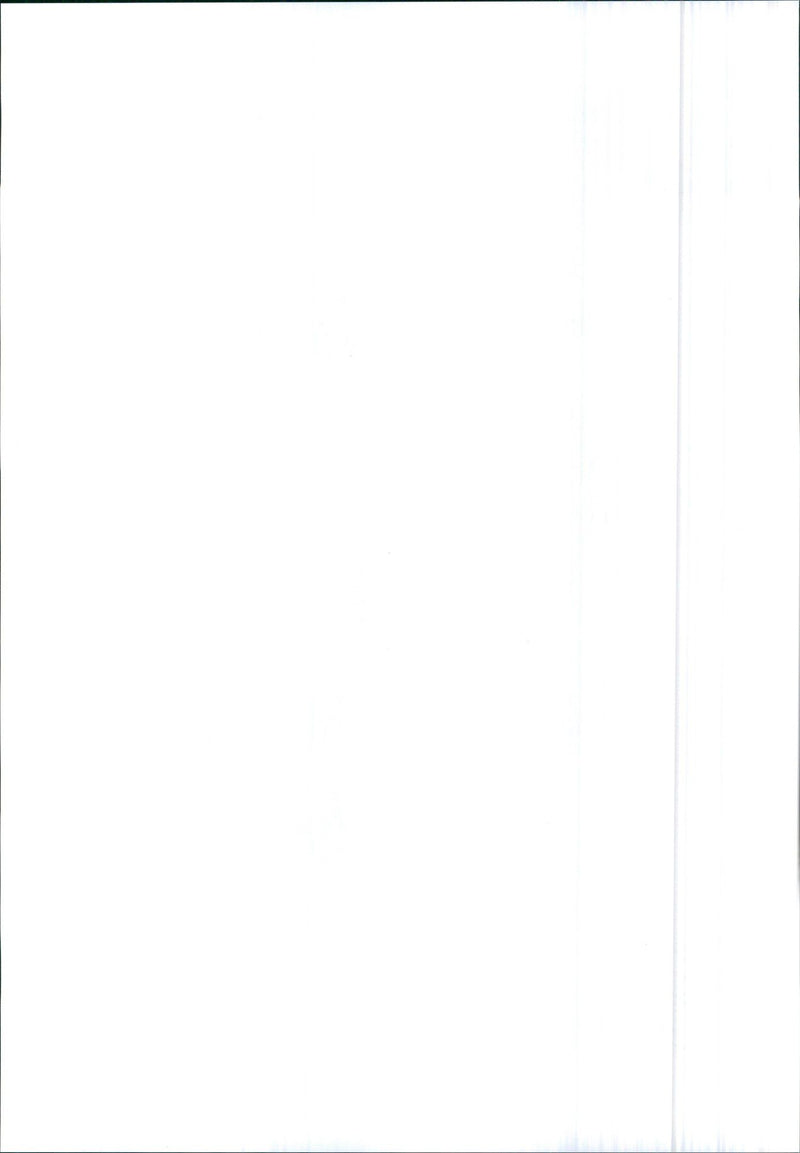 Audi V8 - Vintage Photograph