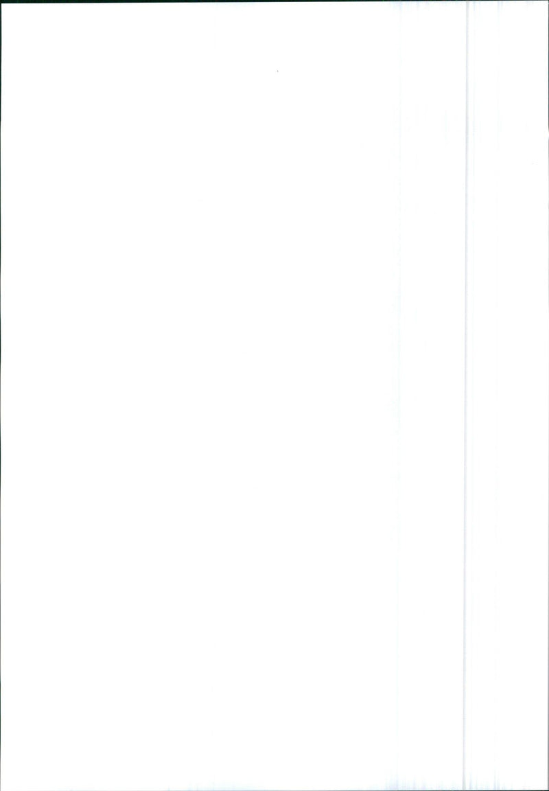 Audi V8 - Vintage Photograph