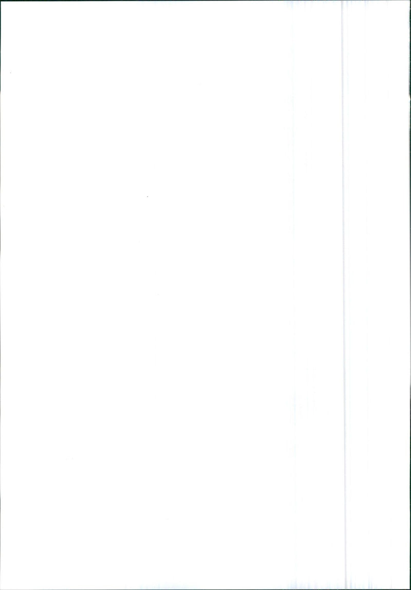 Audi V8 - Vintage Photograph