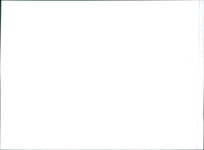 1997 Nissan Terrano II - Vintage Photograph